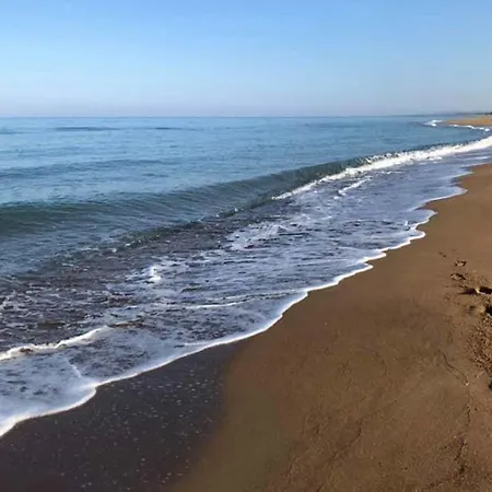 펜션 Phyllida - A2 자하로